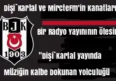 Dişi`Kartal