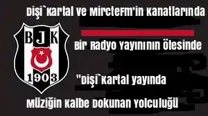 Dişi`Kartal