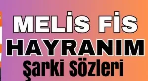 Melis Fis - Hayranım