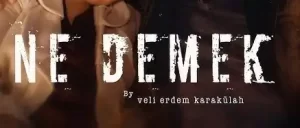Veli Erdem Karakülah - NE DEMEK