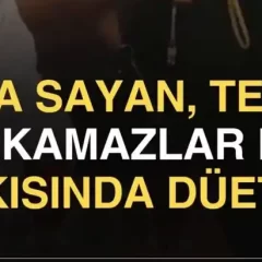 Seda Sayan | Tekir | Yıkamazlar